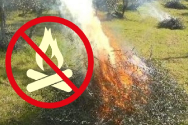 Fuoco residui vegetali e simbolo divieto