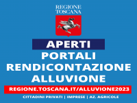 DANNI MALTEMPO 2 NOVEMBRE - APERTURA PORTALE PER LA RENDICONTAZIONE