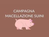 Macellazione domiciliare dei suini e degli ovicaprini effettuata per il consumo domestico privato delle carni 