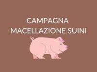 Macellazione domiciliare dei suini e degli ovicaprini effettuata per il consumo domestico privato delle carni