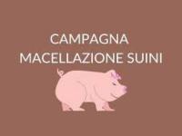 Macellazione domiciliare dei suini e degli ovicaprini effettuata per il consumo domestico privato delle carni 